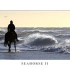 Seahorse II