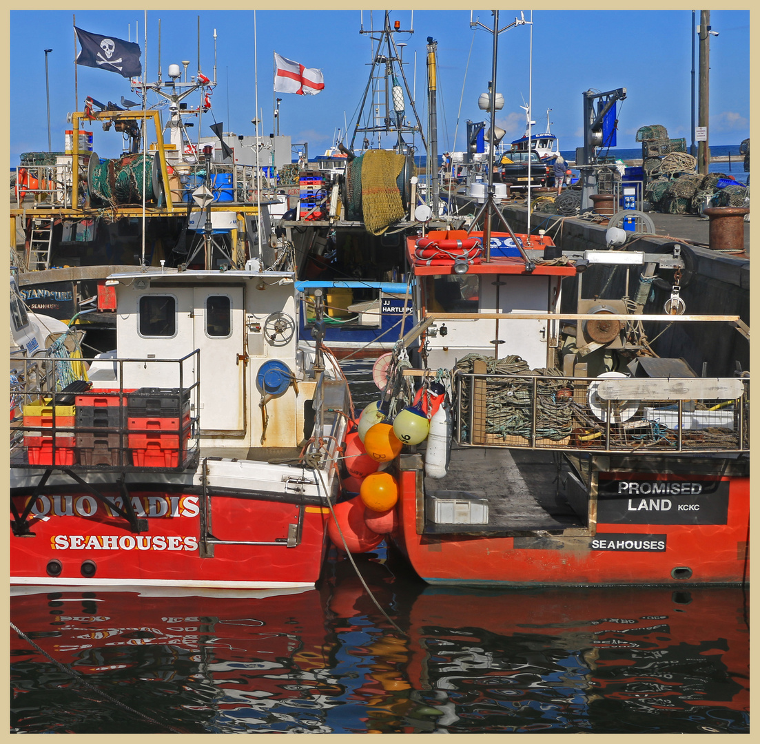 Seahouses harbour 2