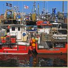 Seahouses harbour 2