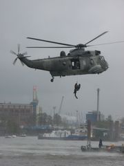 seaking in action