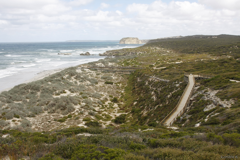 Seal Bay - Dünenlandschaft