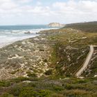 Seal Bay - Dünenlandschaft