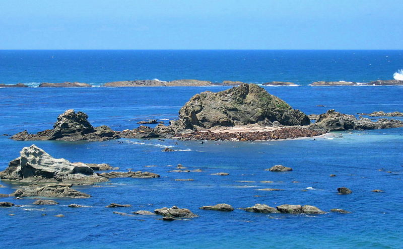 Seal-Rock