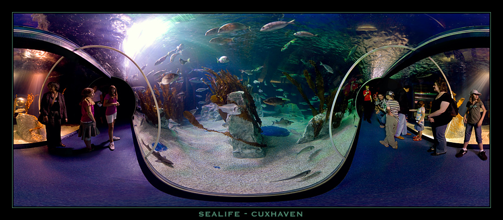 Sealife