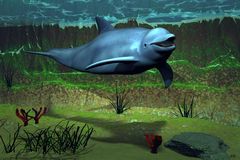 Sealife IV - Der Delfin