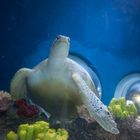 SeaLife Konstanz I