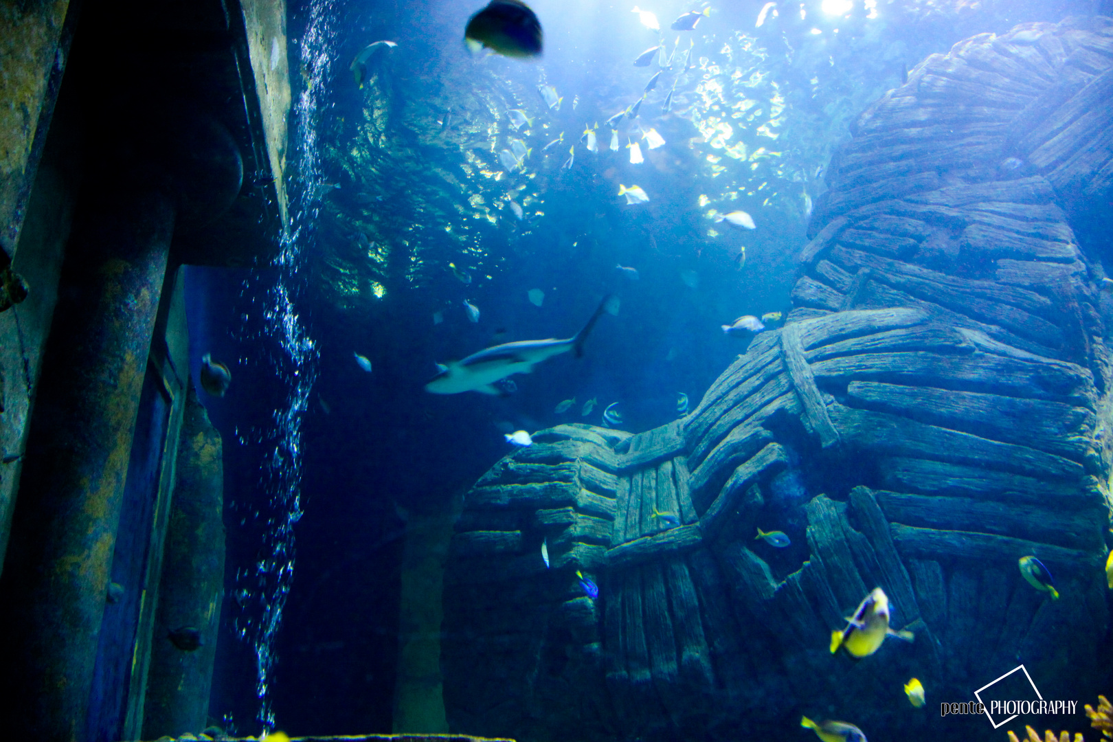 Sealife München III