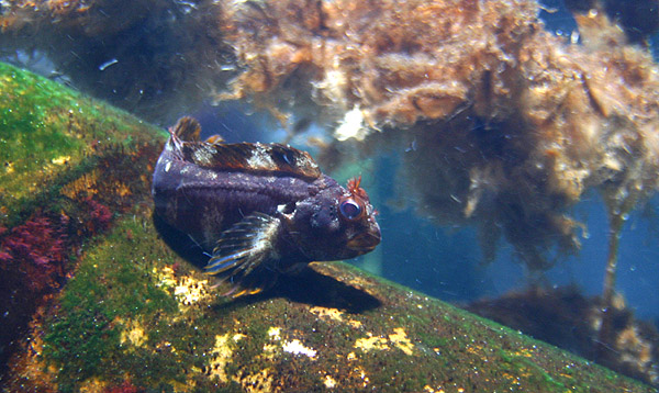 SeaLife Oberhausen #2