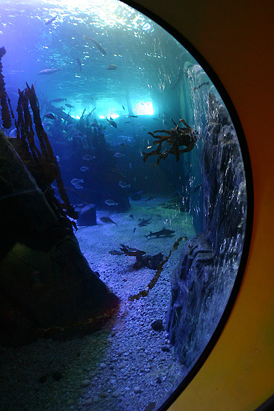 SeaLife Oberhausen #4