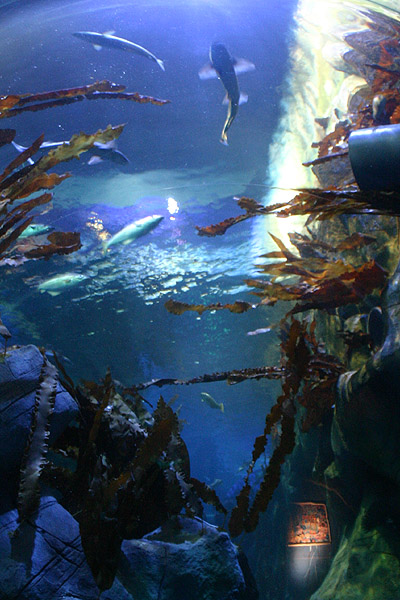 SeaLife Oberhausen #7