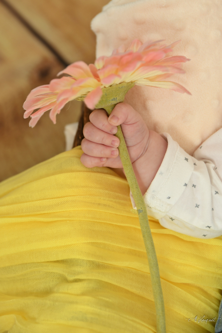 séance studio bébé