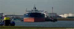  SEARANGER, Crude Oil Tanker, Calandcanal, Rotterdam.