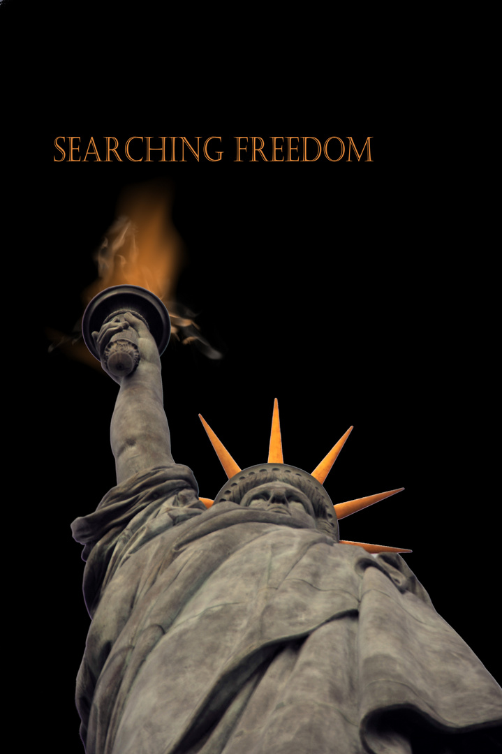 Searching Freedom