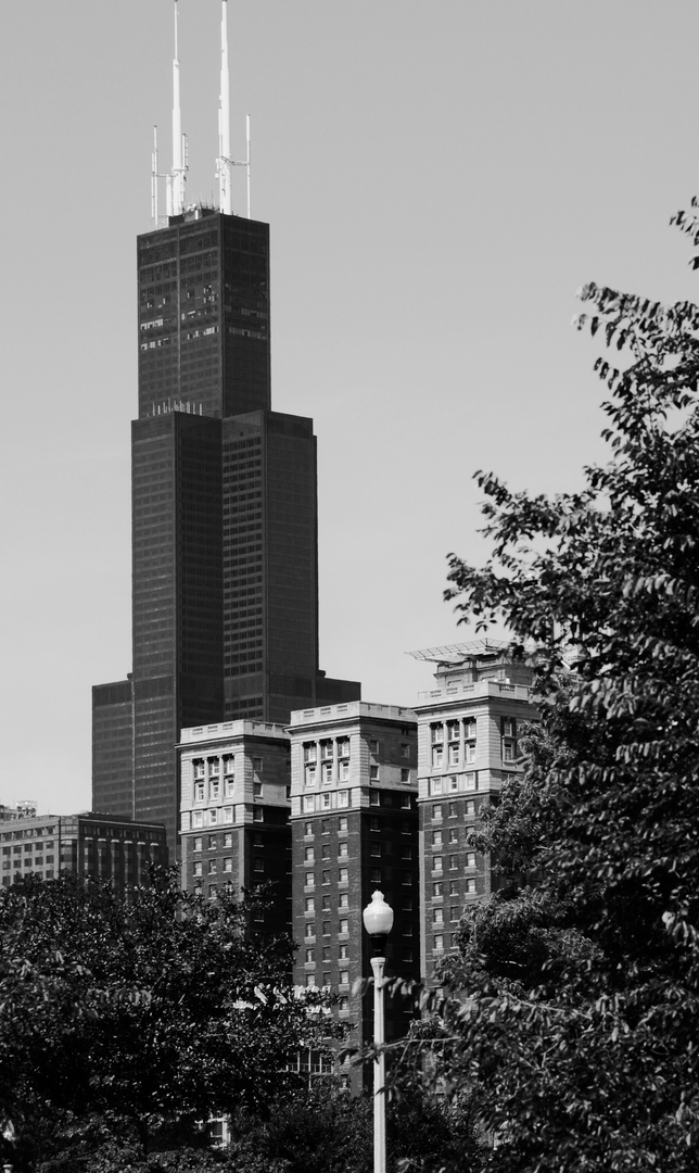 Sears Tower bw