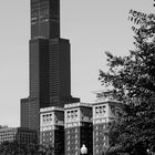 Sears Tower bw