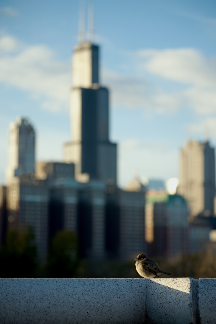 Sears Tower