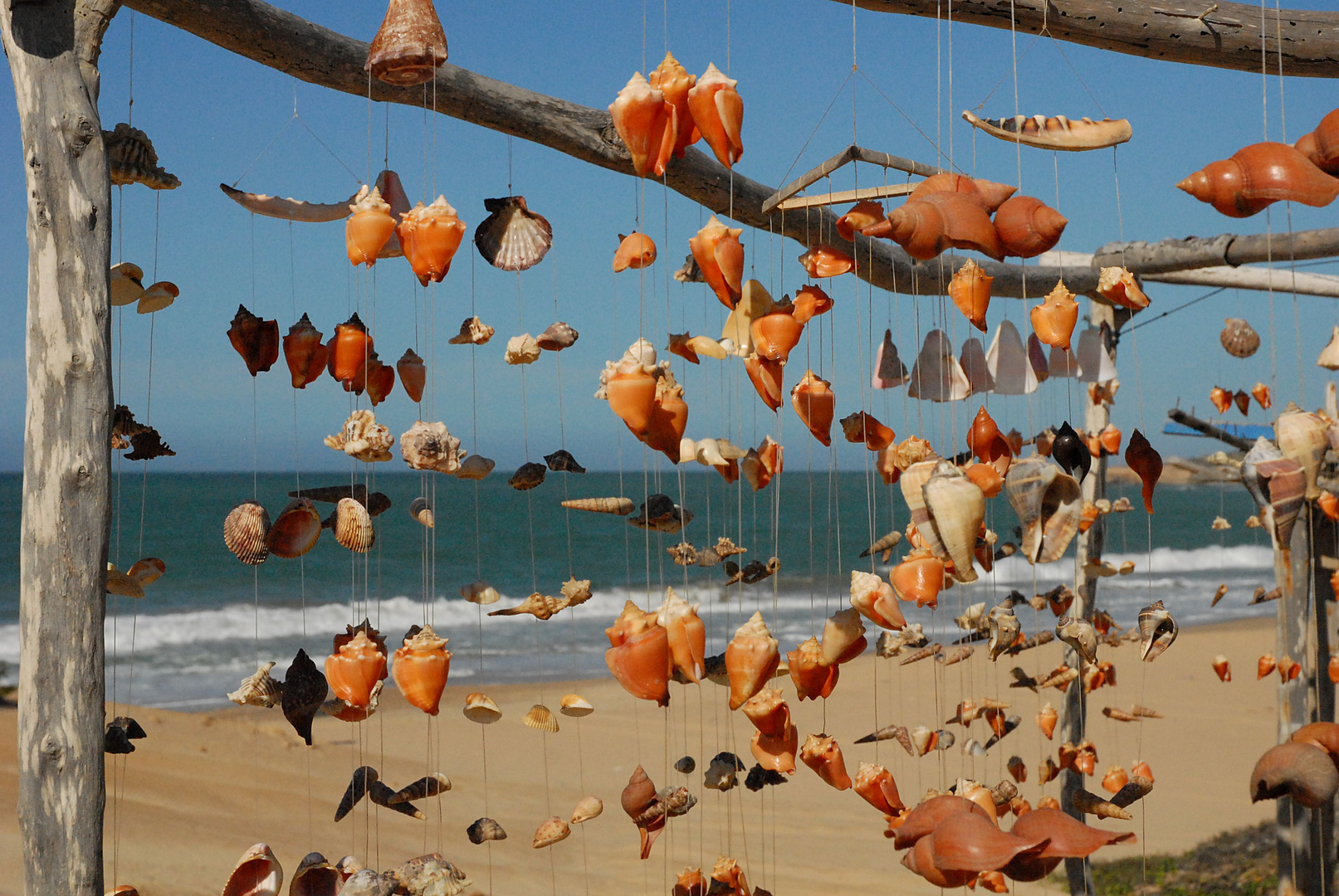 SeaShells with a view