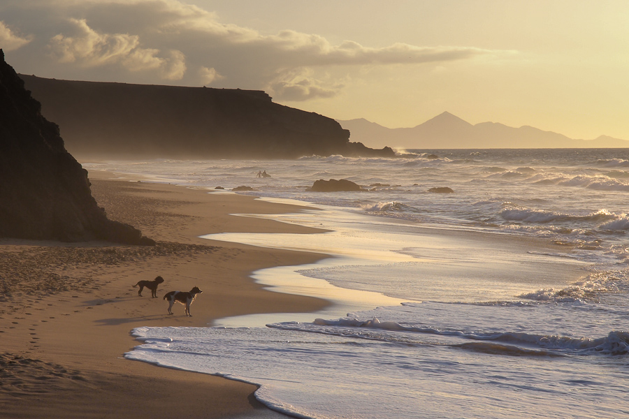 Seaside dream