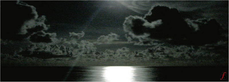 seaside in the moonlight