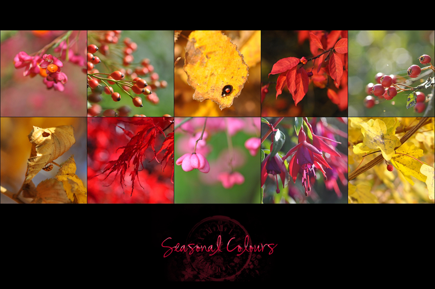 Seasonal colours