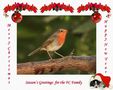 Season's Greetings von Fons van Swaal