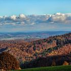 seasons.autumn.odenwald3