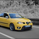 Seat Ibiza on the Road