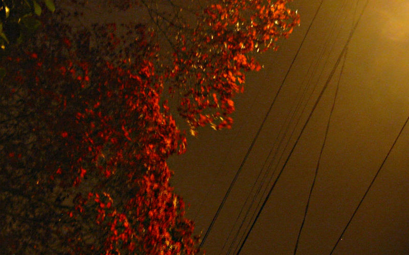 Seattle Power Lines