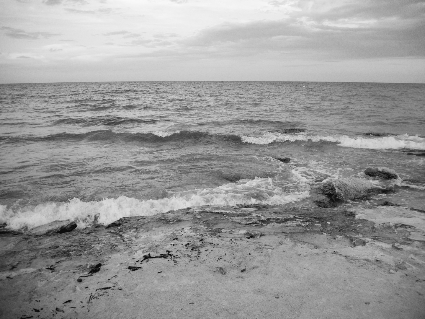 SEAVIEW black-white