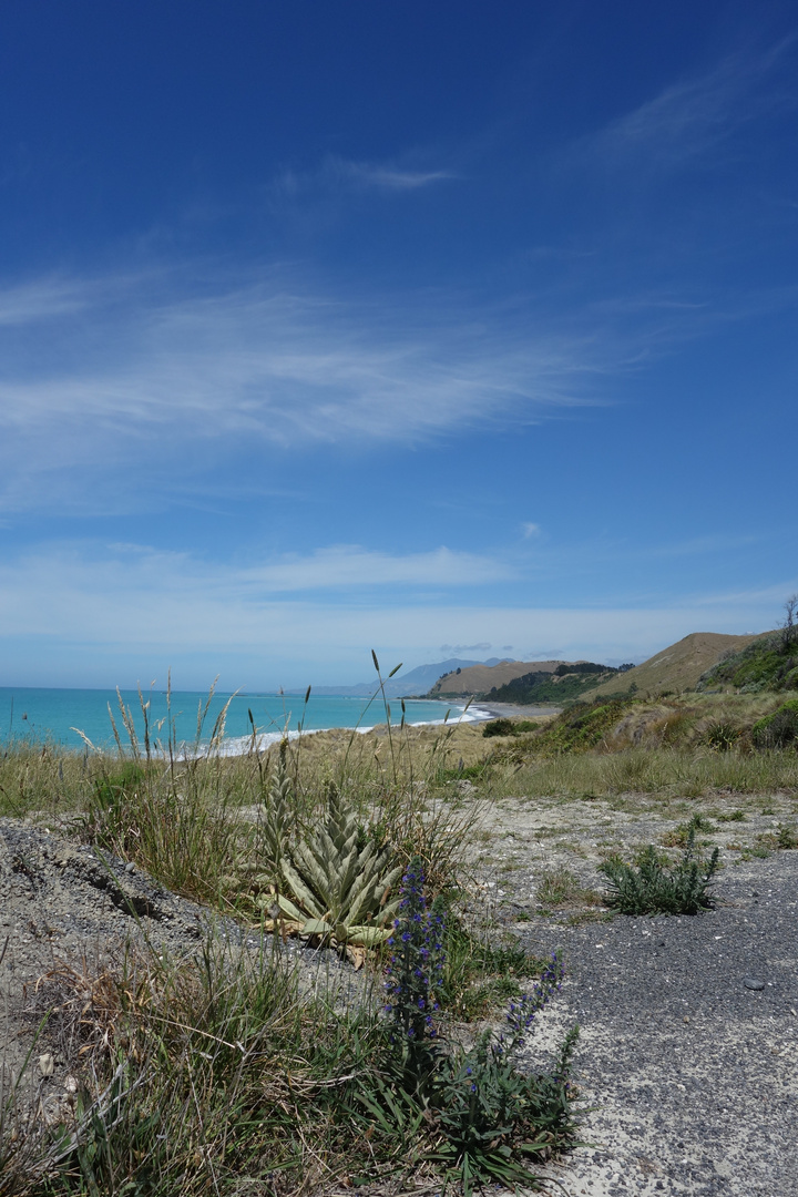 Seaward Kaikoura Range 03