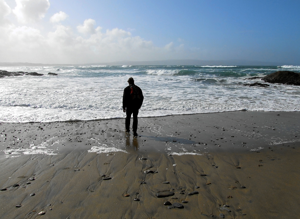 Seawatching