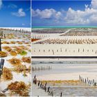 *seaweed fields #2*