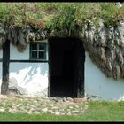 Seaweed roof