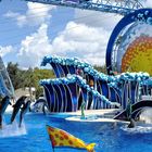 Seaworld in Orlando