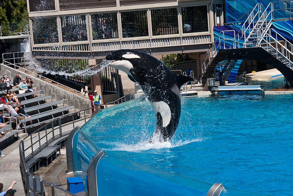 Seaworld San Diego II