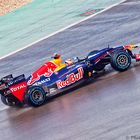 Sebastien Buemi im Red Bull RB6