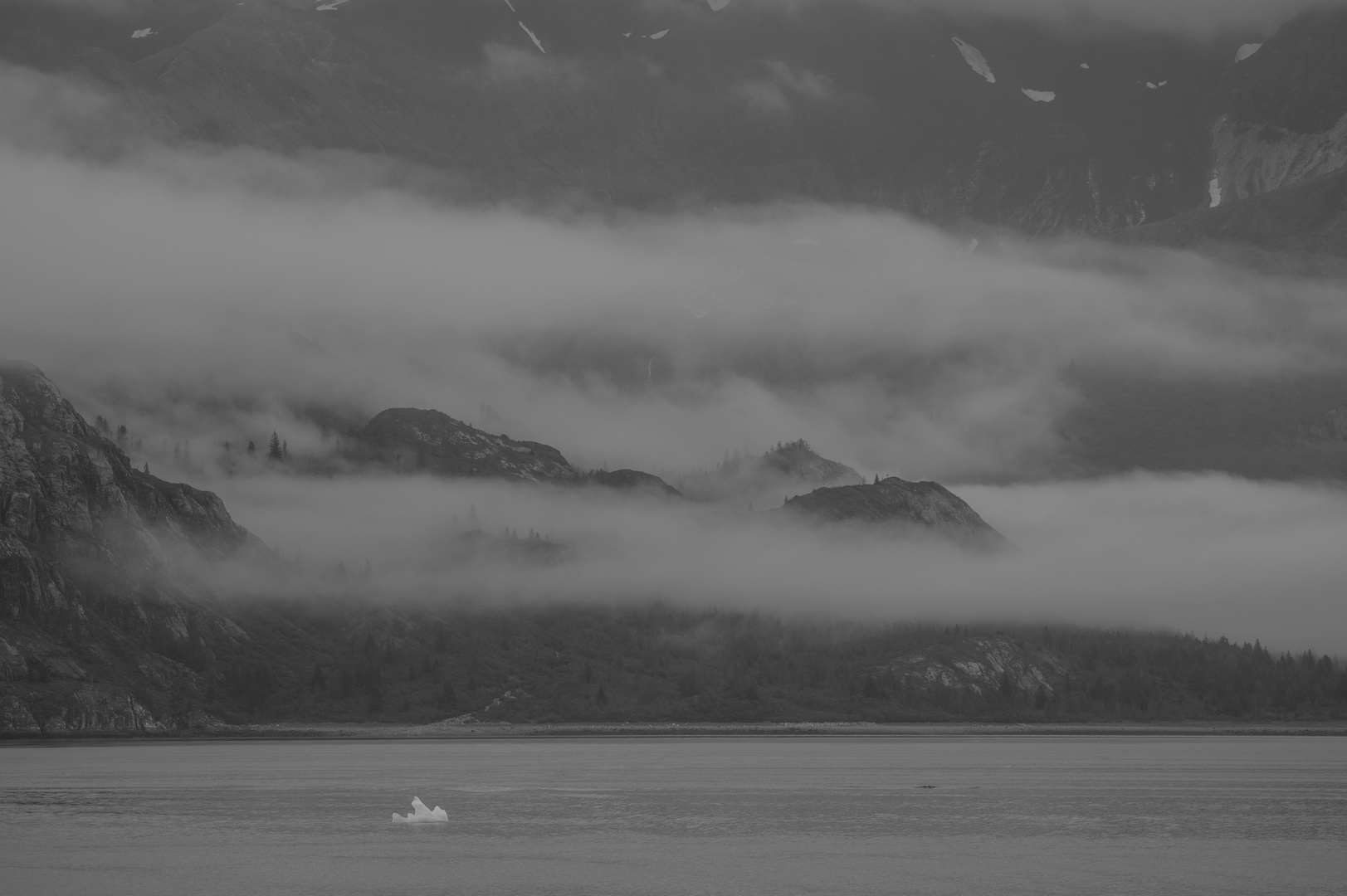 Sebree Island , Glacier Bay , Alaska    DSC_0691