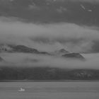 Sebree Island , Glacier Bay , Alaska    DSC_0691