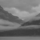 Sebree Island, Glacier Bay   DSC_0688