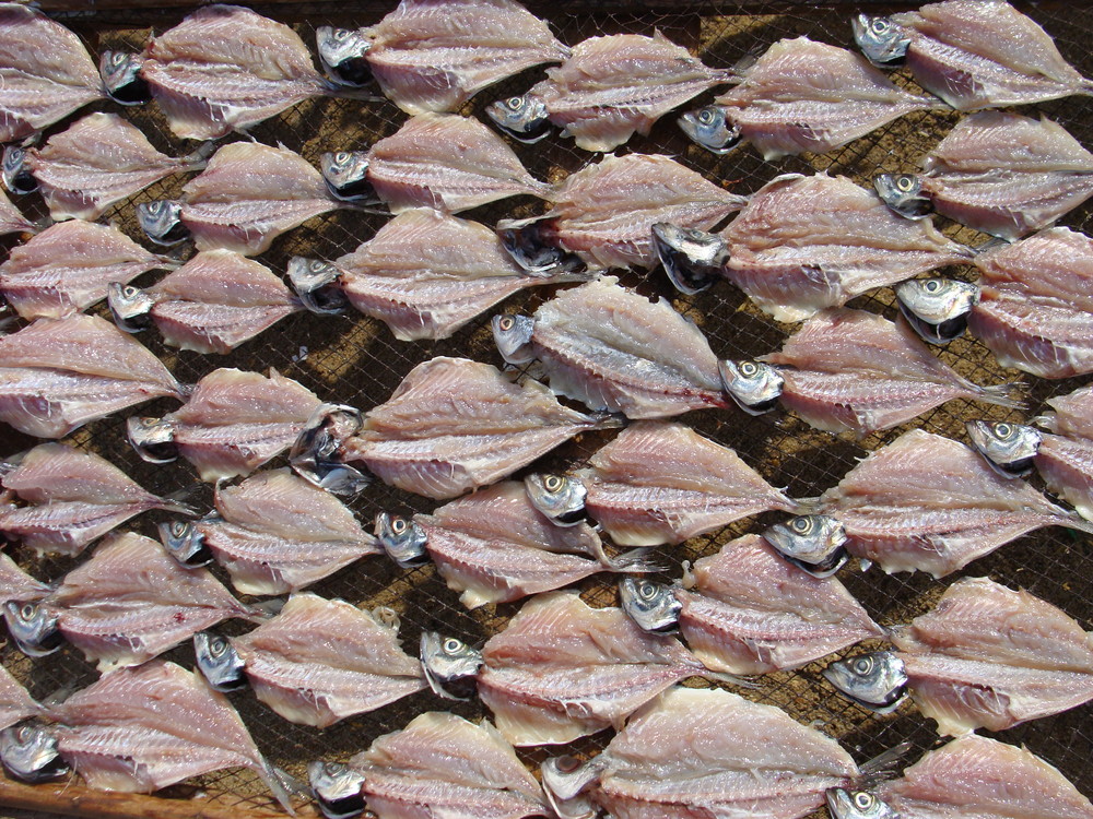 Secagem de peixe, Nazare, Portugal