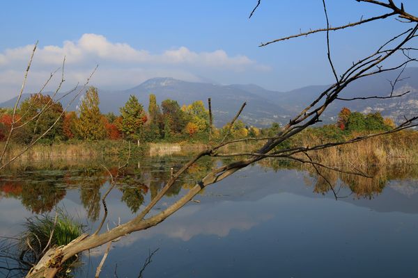  secco colorato velato