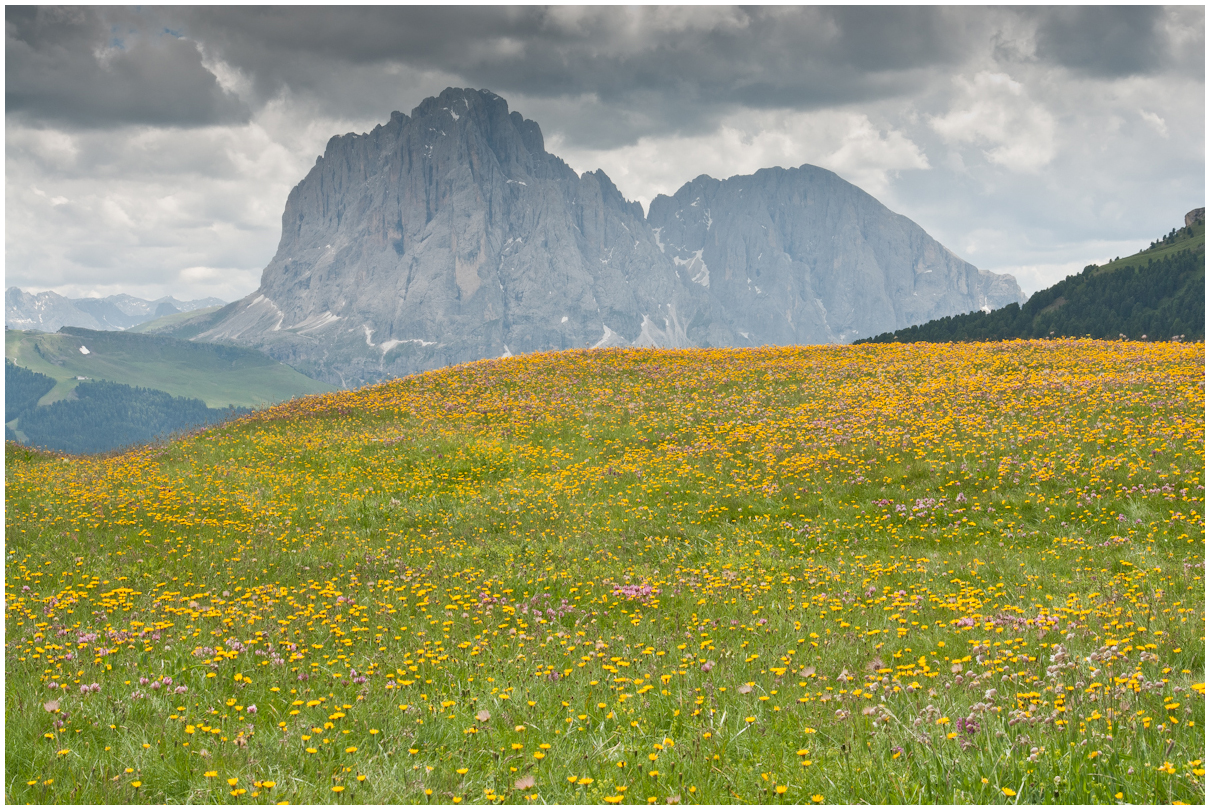 Seceda 3 - Südtirol