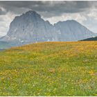 Seceda 3 - Südtirol