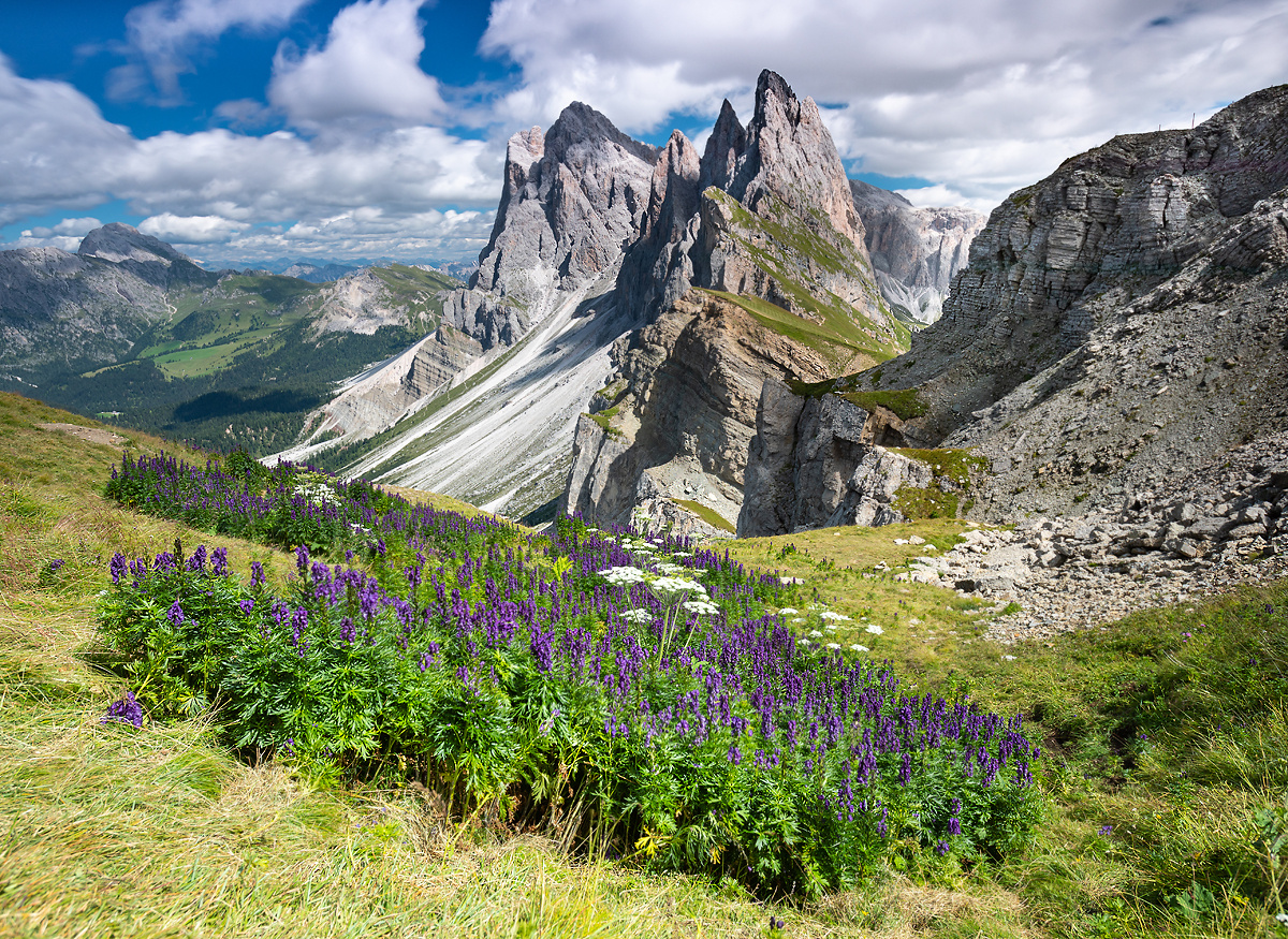 Seceda