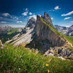 Seceda, Dolomites 2019