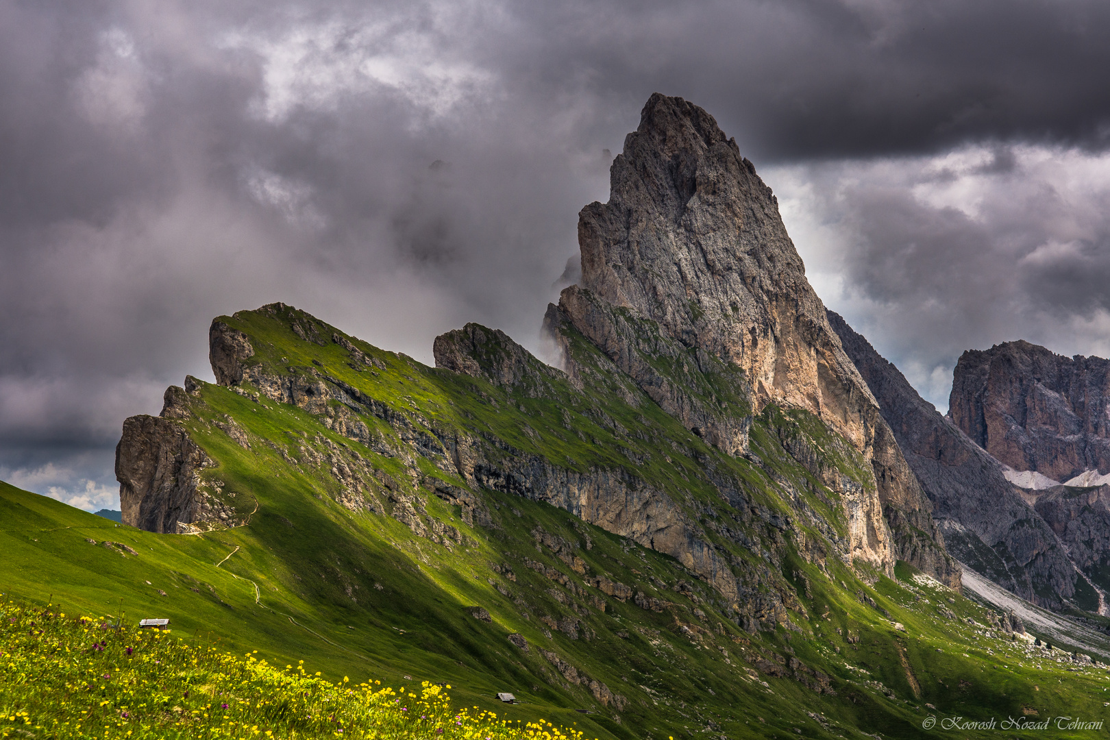 Seceda, Dolomites, Italy