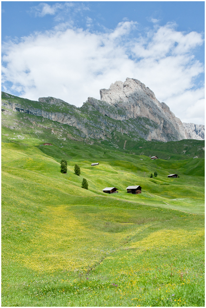 Seceda - Südtirol -