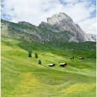 Seceda - Südtirol -