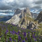 Seceda Südtirol 