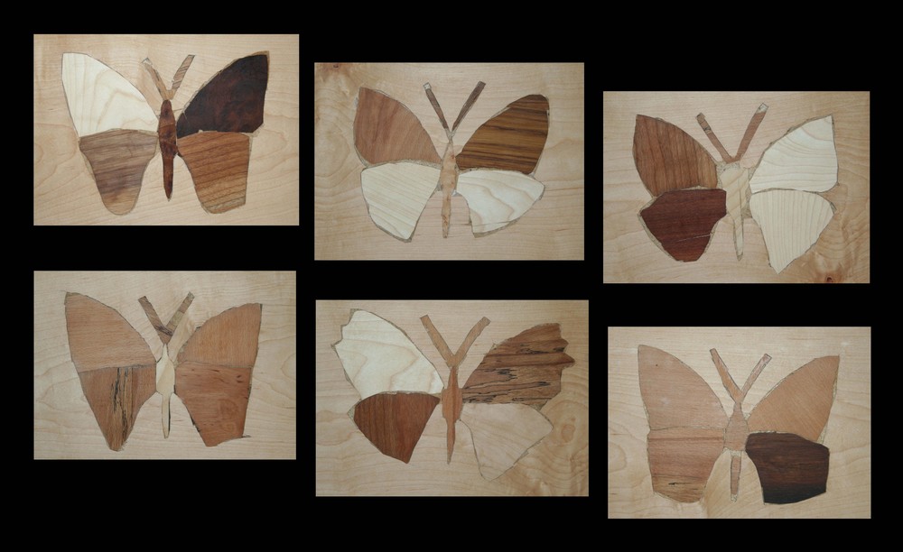 > sechs Schmetterlinge Foto & Bild | kunstfotografie & kultur, motive